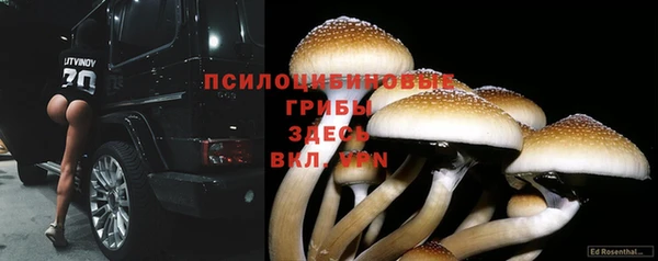метадон Баксан