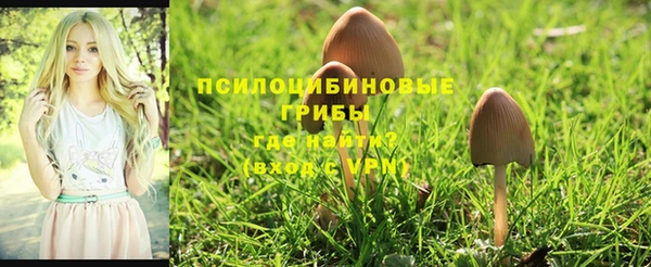 метадон Баксан