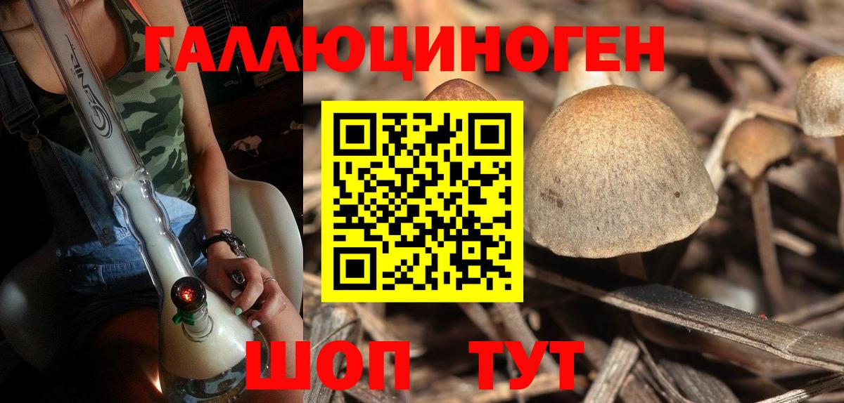 Галлюциногенные грибы мухоморы Черняховск