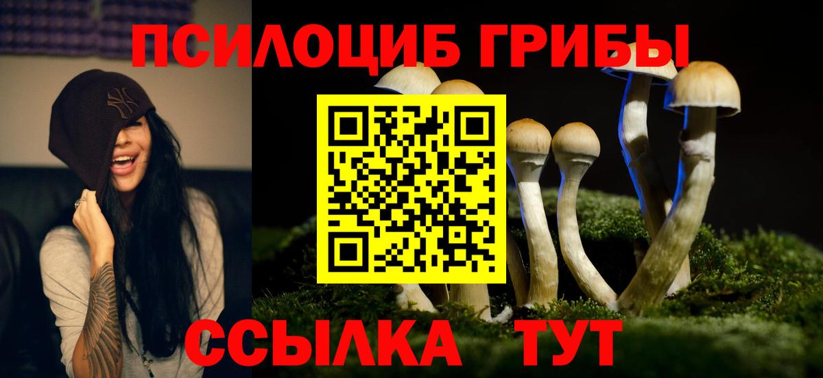 Черняховск  наркотики  Вход с VPN  Псилоцибиновые грибы ЛСД 